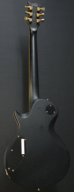 Esp Ltd Ec Deluxe Kitarakuu